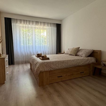 Lareina Apartament Cluj-Napoca Esterno foto